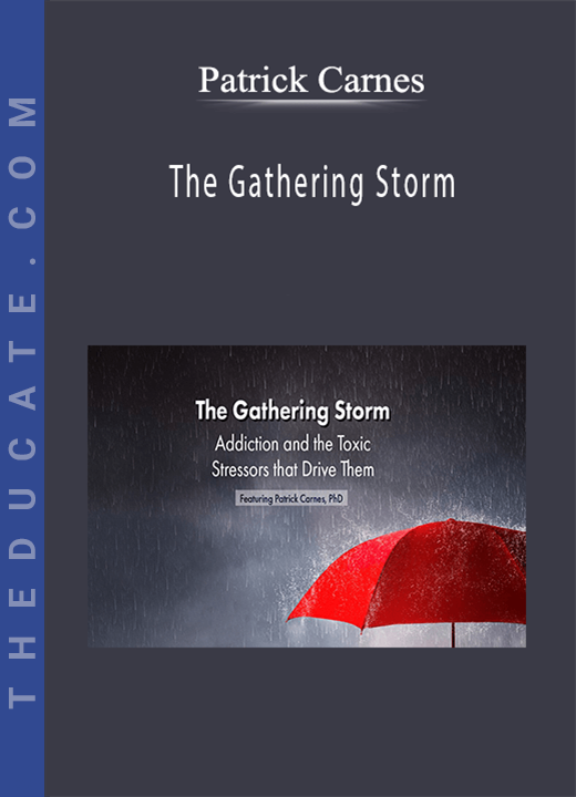 Patrick Carnes - The Gathering Storm: Addiction and the Toxic Stressors that Drive Them