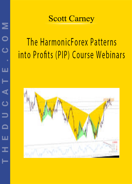 Scott Carney - The HarmonicForex Patterns into Profits (PIP) Course Webinars