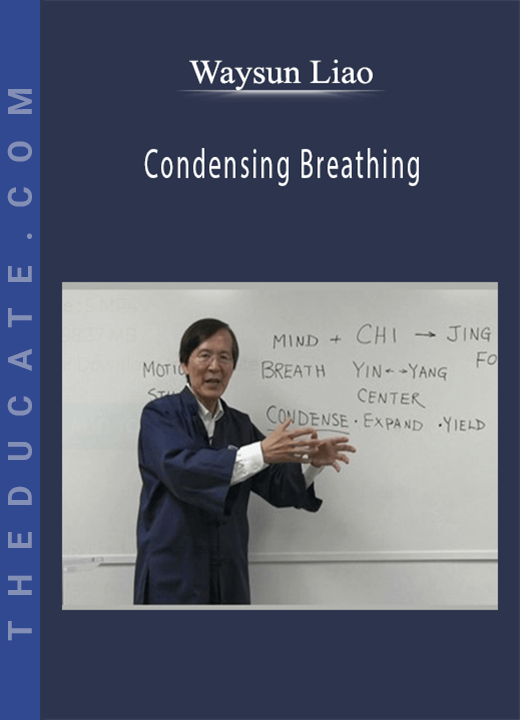 Waysun Liao - Condensing Breathing