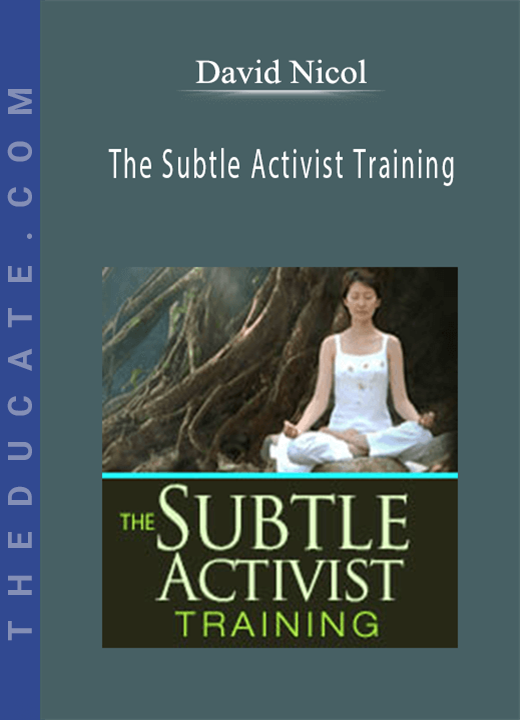 David Nicol - The Subtle Activist Training