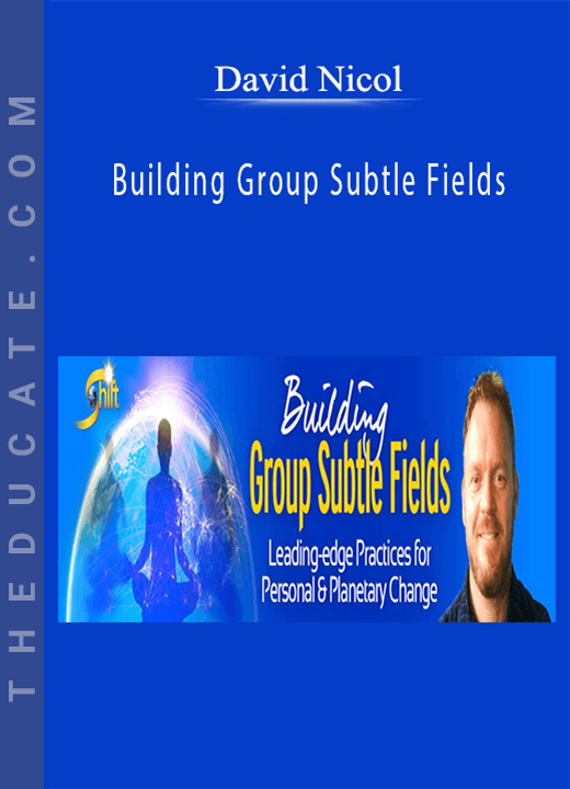 David Nicol - Building Group Subtle Fields