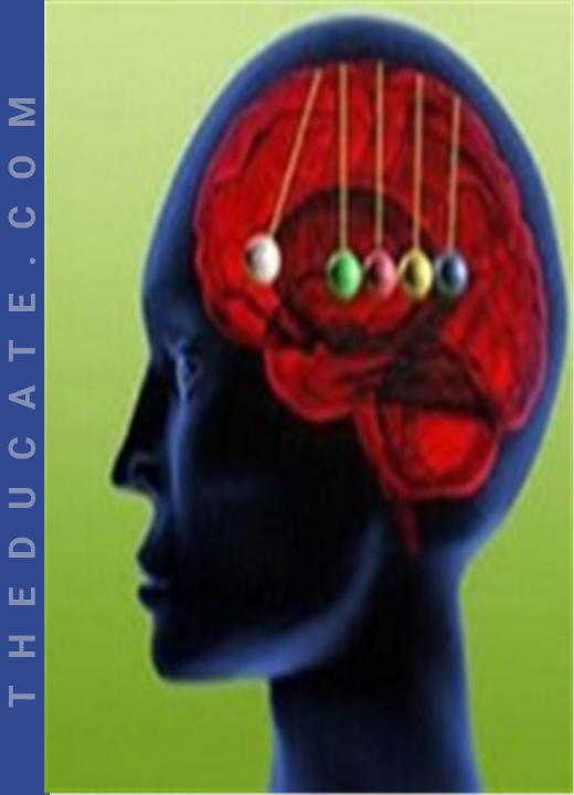 CHRISTOPHE MORIN - SALESBRAIN NEUROMARKETING TRAINING