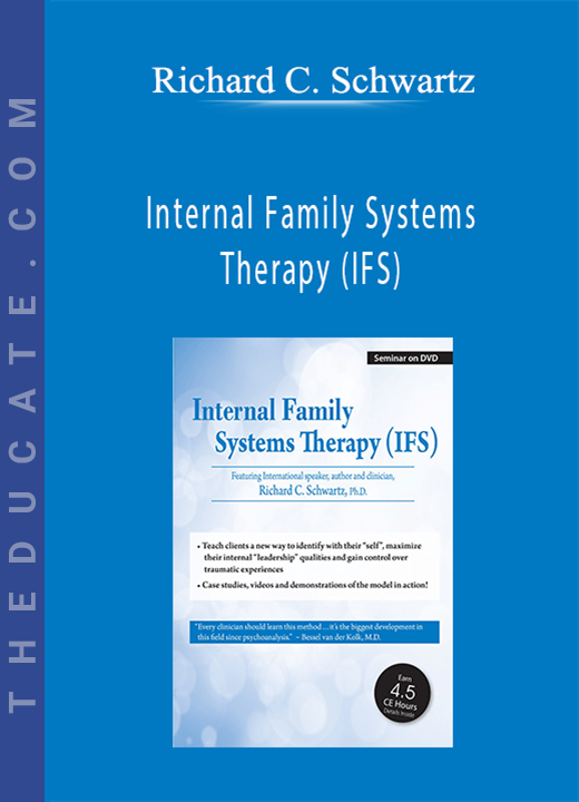 Internal Family Systems Therapy (IFS): A Revolutionary & Transformative Treatment of PTSD, Anxiety, Depression, Substance Abuse - and More! - Richard C. Schwartz